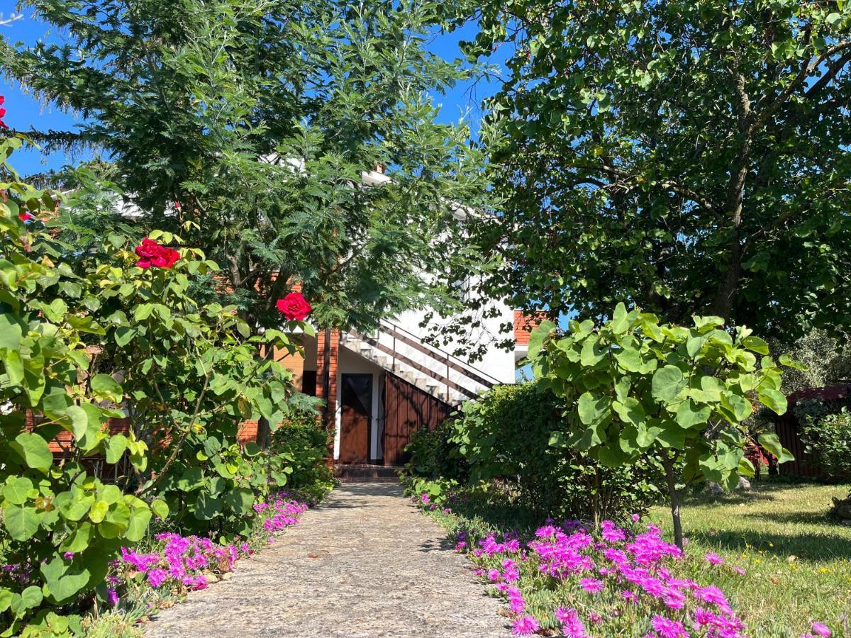 Annamaria Home Пула Екстер'єр фото